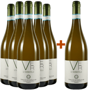 5+1 Paket Le Barbatelle Verdicchio dei Castelli di Jesi DOC 