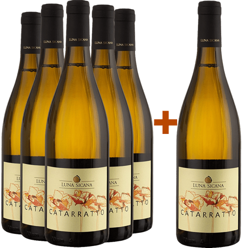 5+1 Paket Catarratto Sicilia DOC BIO BIO