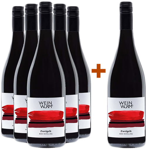 5+1 Ried Schilling "Glücksmoment" Zweigelt trocken