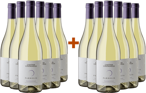 6+6 Paket Parhelia Passerina Colli Aprutini IGP