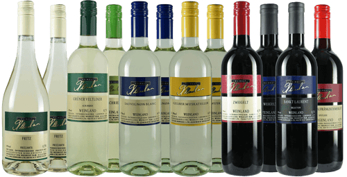 Kennenlernpaket gross