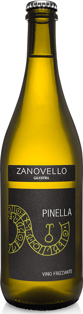 2021 Pinella Veneto IGP BIO