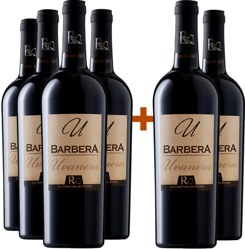 4+2 Paket Barbera Terre degli Osci IGP