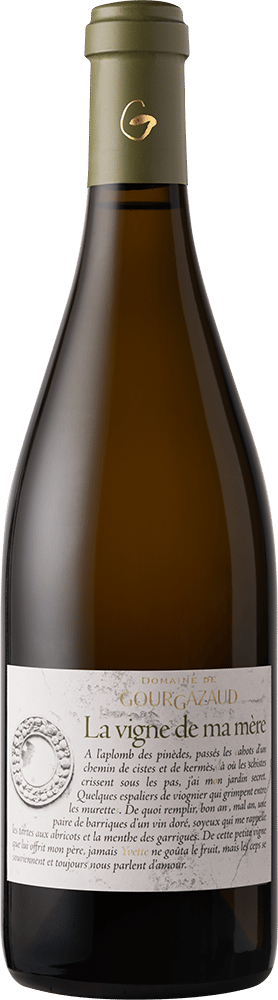 2024 La vigne de ma mère