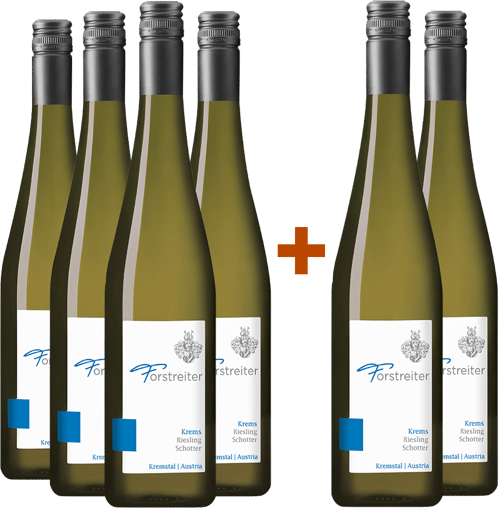 4+2 Paket Riesling Schotter Kremstal DAC