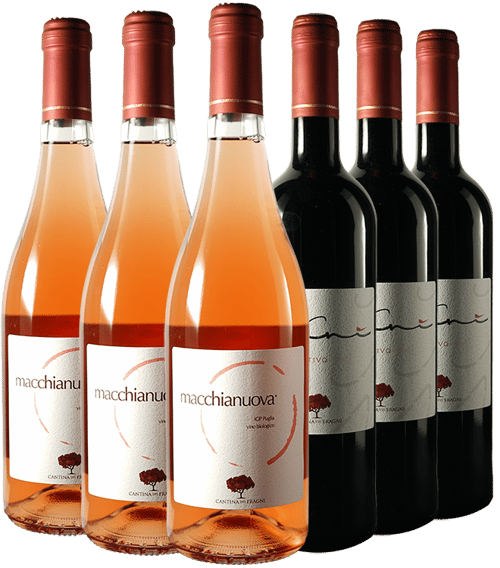 Cantina Dei Fragni Probier-Paket BIO