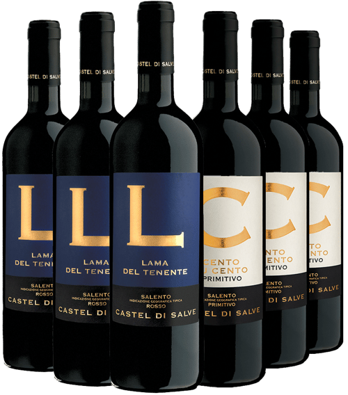 Salento IGP Premium Kennenlern-Paket