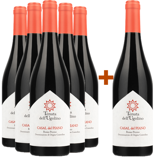 5+1 Paket Casal del Piano Rosso Piceno DOC