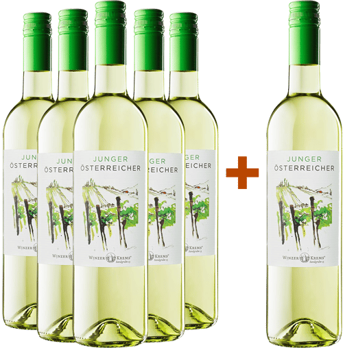 5+1 JUNGER ÖSTERREICHER trocken