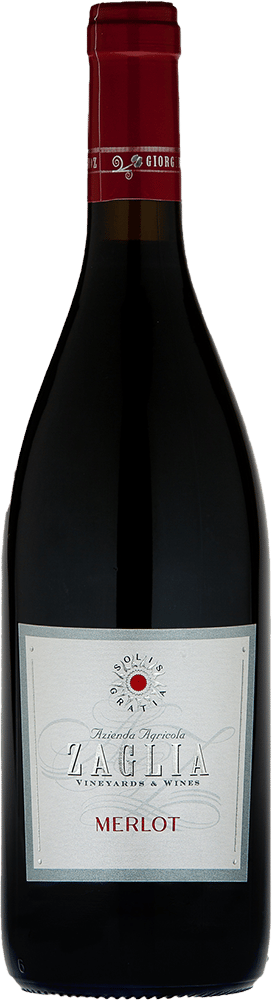 2022 Merlot Friuli DOC