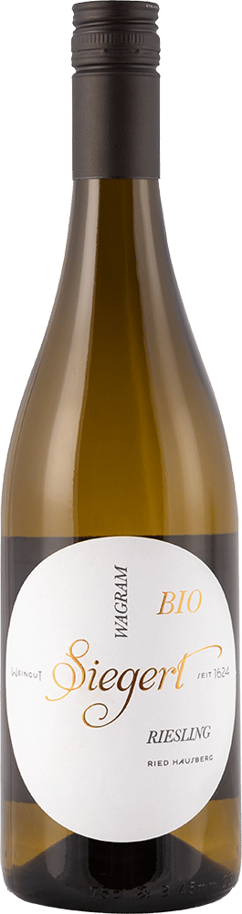 2024 Riesling Ried Hausberg BIO