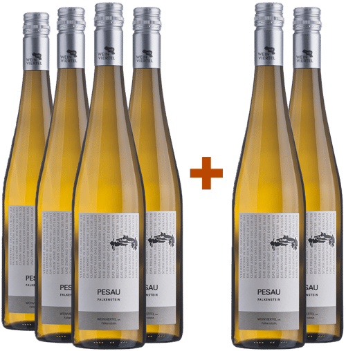 4+2 Paket Weinviertel DAC Grüner Veltliner Falkenstein trocken BIO