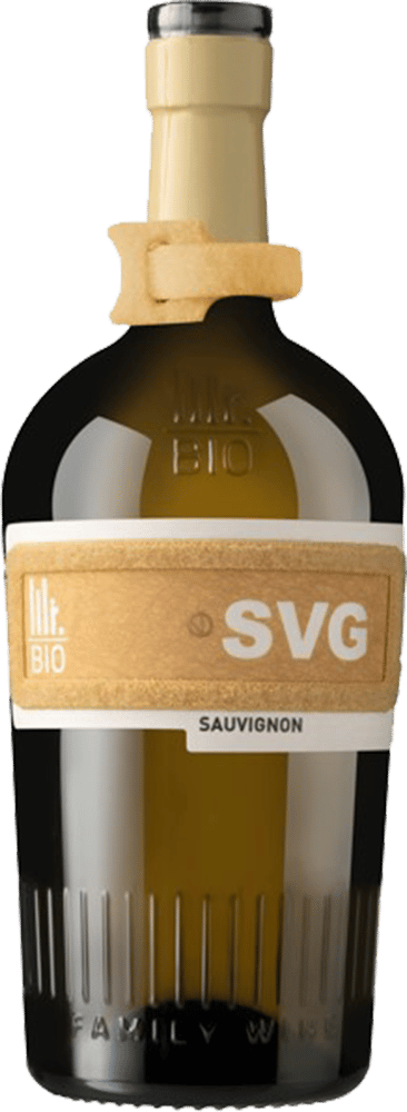 2021 Sauvignon Friuli DOC BIO