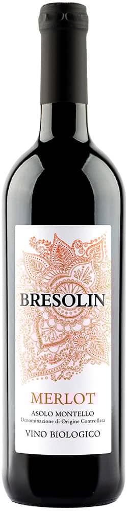 2020 Merlot Asolo Montello DOC BIO