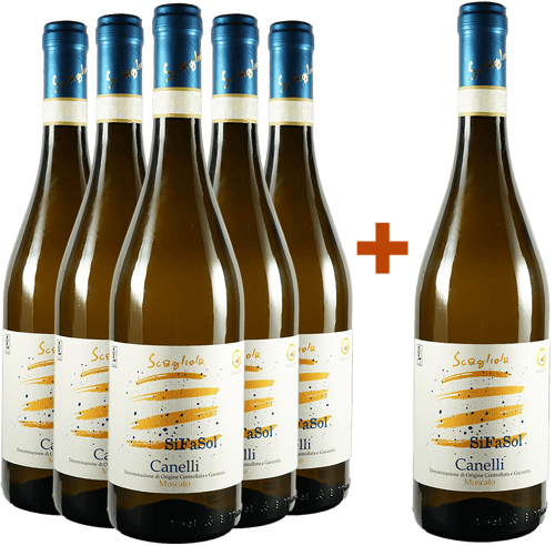 5+1 Paket Moscato SiFaSol Canelli DOCG