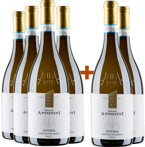 4+2 Paket Hydria Pecorino d'Abruzzo DOC