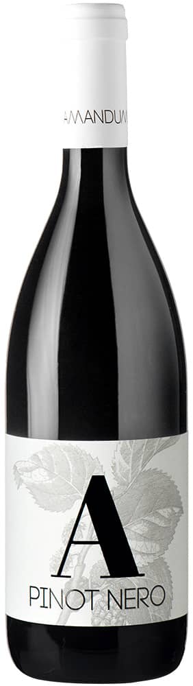 2019 Pinot Nero Friuli Isonzo DOC