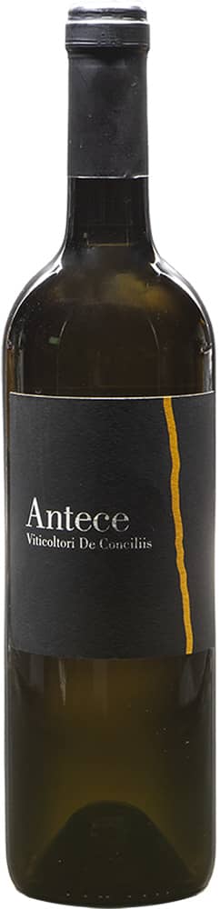 2022 Antece Cilento Fiano DOC