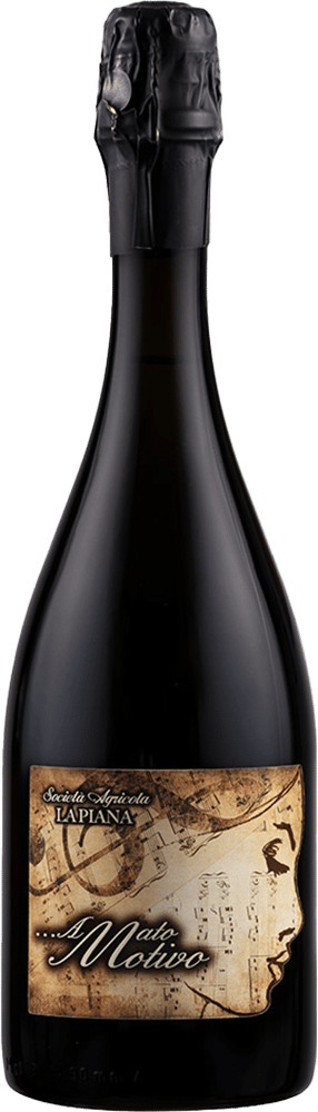 2024 Amato Motivo BIO