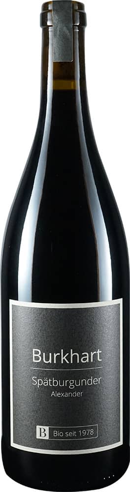 2022 Spätburgunder Alexander BIO