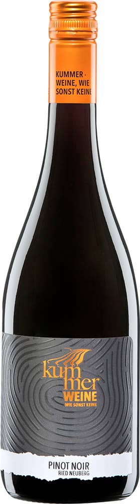 2023 Pinot Noir Ried Zeiselberg