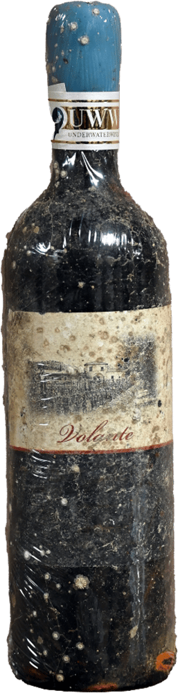 2020 Volante UnderWaterWine Bolgheri DOC