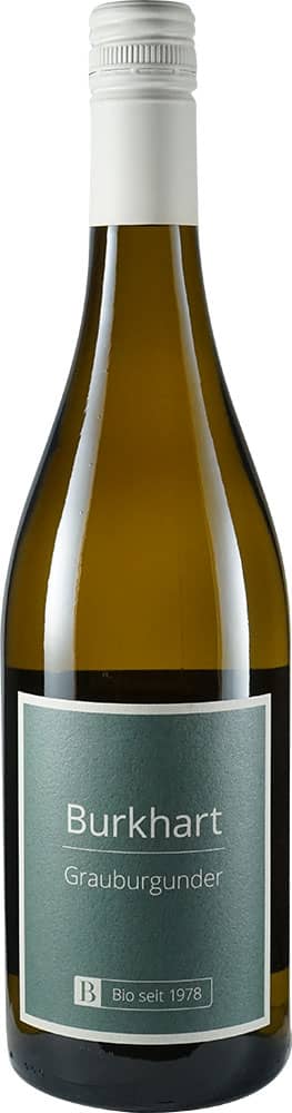 2024 Grauburgunder BIO