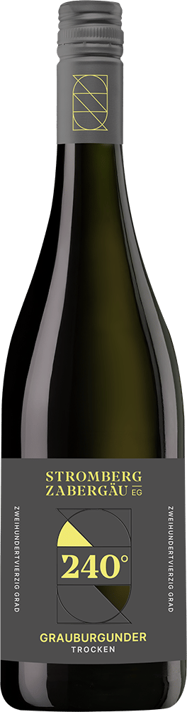 2024 240° Entdeckung Grauburgunder