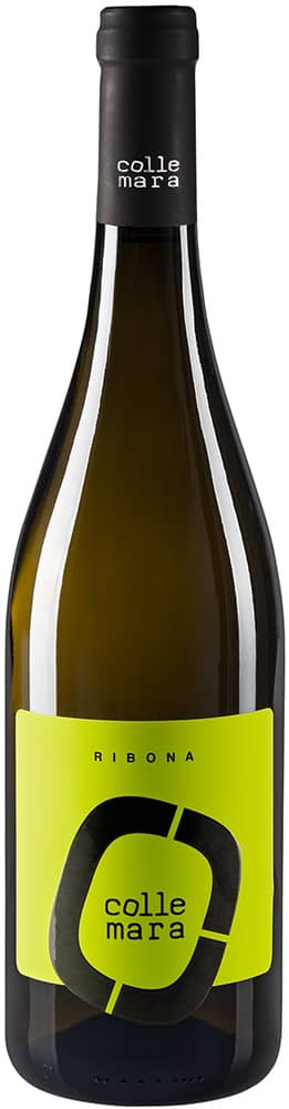 2024 Ribona Bianco Colli Maceratesi DOC