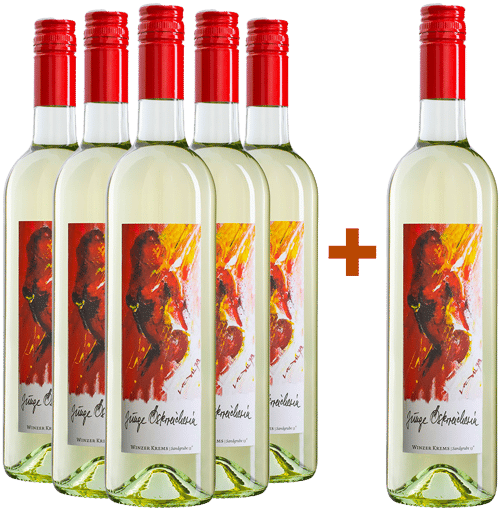 5+1 DIE "Junge ÖsterreicherIN" trocken