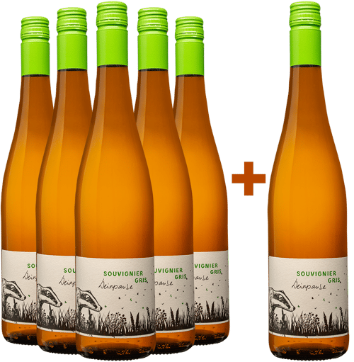 5+1 Paket Souvignier Gris trocken