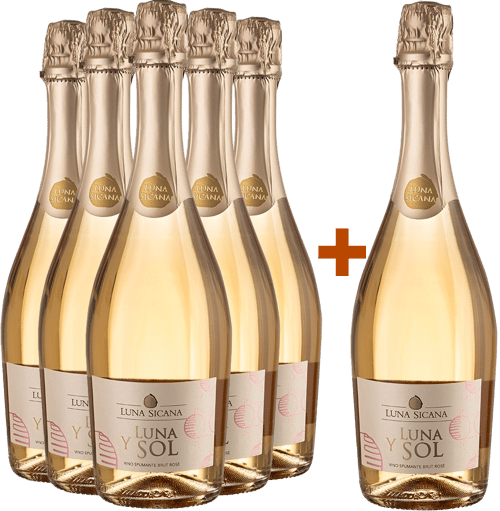 5+1 Paket Luna Y Sol Spumante Rosé BIO BIO