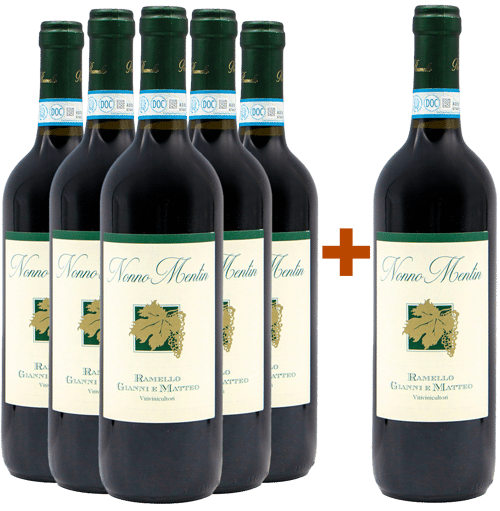5+1 Paket Nonno Mentin Barbera d'Alba DOC