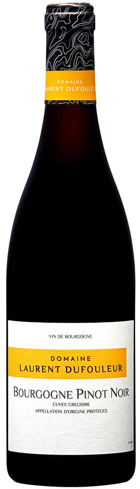 2022 Pinot Noir boisé 'Cuvée Grégoire' Bourgogne AOP
