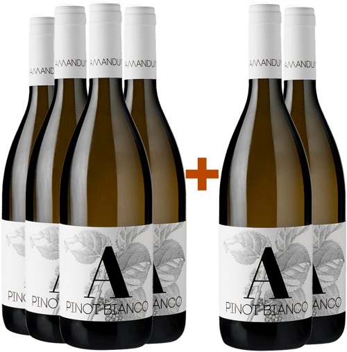 4+2 Paket Pinot Bianco Friuli Isonzo DOC