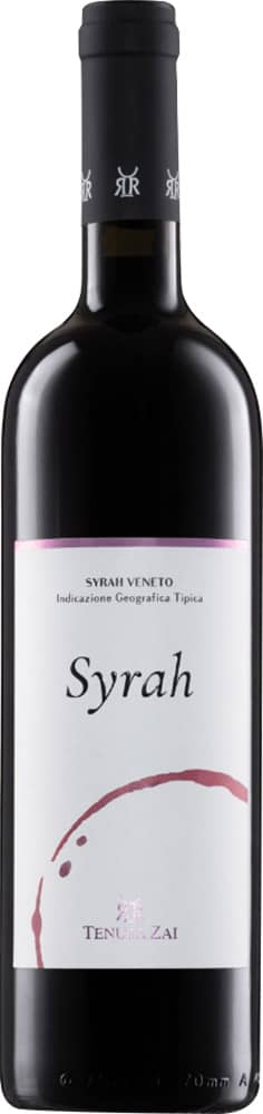 2019 Syrah Veneto IGP