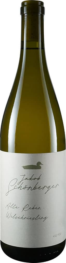2022 Welschriesling Alte Reben BIO