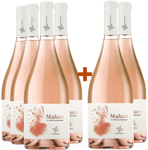 4+2 Paket Mahare Terre Siciliane IGP BIO