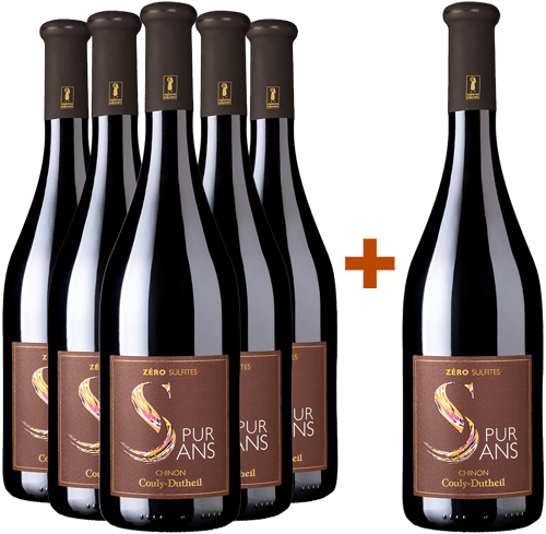 5+1 Paket Pur Sans 2023