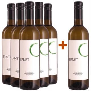 5+1 Paket Grüner Veltliner trocken