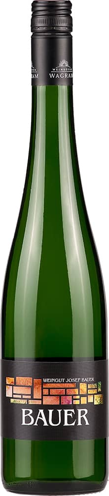 2023 Grüner Veltliner "Ried Spiegel "