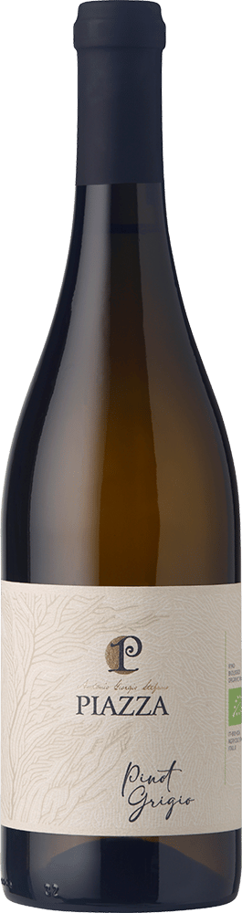 2024 Pinot Grigio Venezia DOC BIO