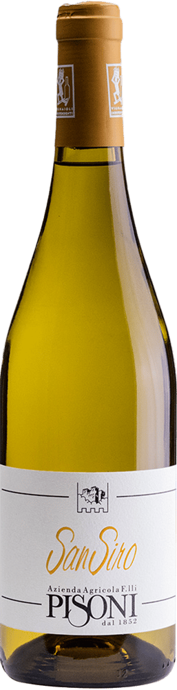 2024 San Siro Chardonnay Vigneti delle Dolomiti IGP BIO