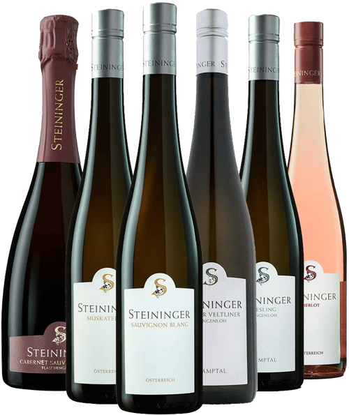 Steininger Kennenlern-Paket