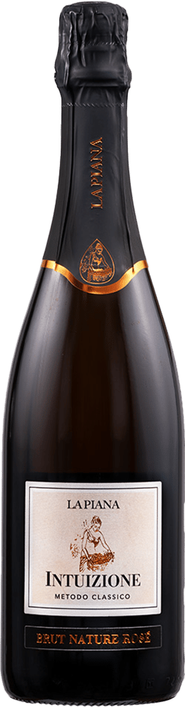 2020 Intuizione Lambrusco Grasparossa di Castelvetro DOC BIO