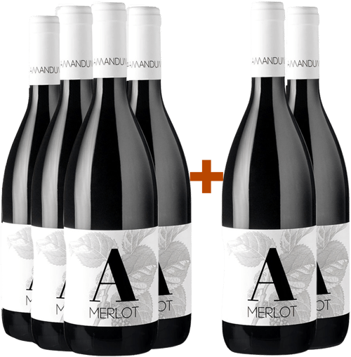 4+2 Paket Merlot Friuli Isonzo DOC