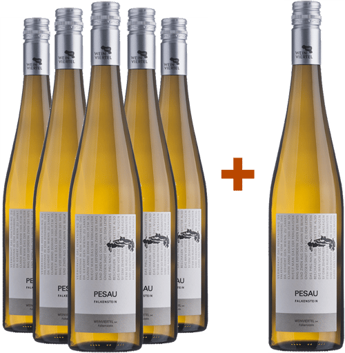 5+1 Paket Weinviertel DAC Grüner Veltliner Falkenstein BIO