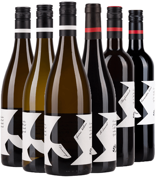 Glatzer Kennenlern-Paket