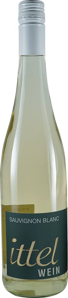 2023 Sauvignong Blanc
