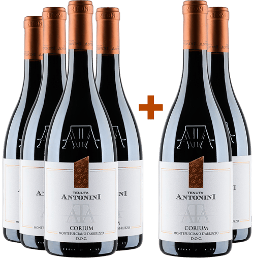 4+2 Paket Corium Montepulciano d'Abruzzo DOC